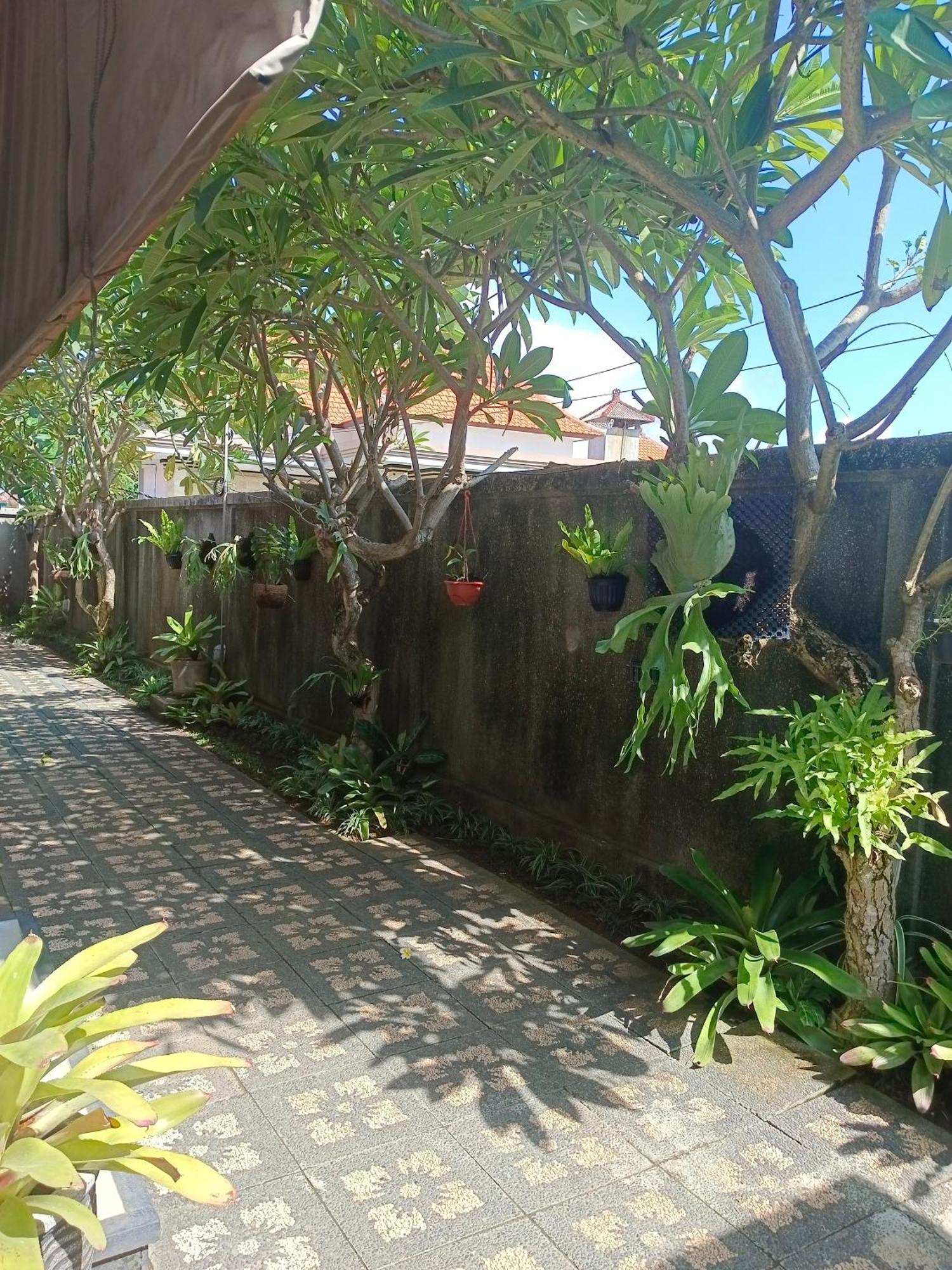 Taman Bali Homestay سانور المظهر الخارجي الصورة